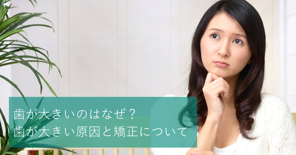 歯が大きいのはなぜ 歯が大きい原因と矯正について Hanaravi歯科矯正blog